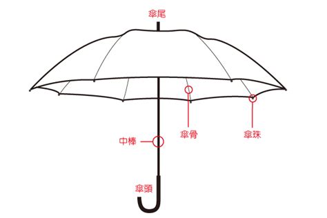 雨傘放哪裡